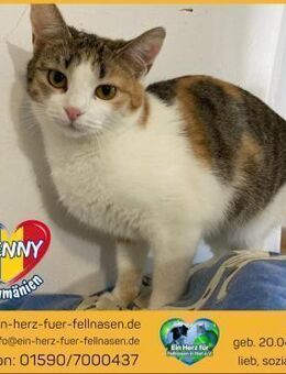 Penny wünscht sich ein Zuhause! - Waakirchen