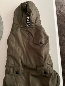 Gefütterte Hunde Jacke mit Kapuze und Leinenöffnung - Hamburg