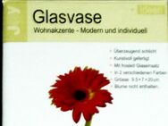 ⚗️ Vase für Tisch Küche Zimmer ⚗️ neu Blumen Glas Vase OVP ⚗️ - Ingolstadt