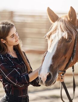 SEA-SIDE-2.0 - LIVING & BUSINESS: Reiterhof-Event-LifeStyle-Location - Grundstück Bodensee - Kressbronn (Bodensee)