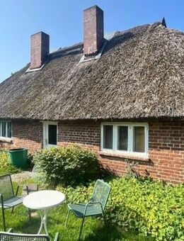 Reetdachidylle auf weitem Land - Putbus