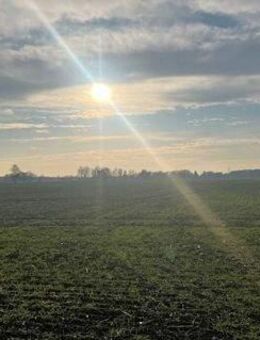 Einfamilienhaus in Alleinlage - Doberlug-Kirchhain
