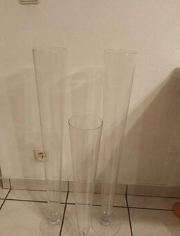 3 Glas Vasen transparent sehr dekorativ Glasvase. Als Set Paket zusammen - Essen