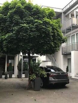 Wohnung mit Loft im Museumsviertel - Mannheim