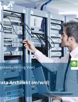 (Senior-) Data Architekt (m/w/d) - Gießen