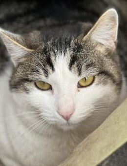 Tekla - hat lange genug gewartet - Süderbrarup