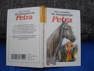 Ein Traumpferd für Petra Tulla Hagström - Friedrichsdorf