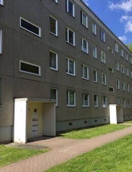 Wer will mich!? Familienfreundliche 4-Zimmer-Wohnung - Kassel