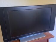 Philips HD Ready Pixel Plus 32 Zoll Fernseher 32PF3302/10 - Scharbeutz