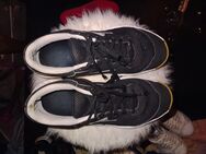Puma Schuhe Gr.41 - Köln