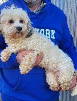 Malna°**Anfragestopp ** - Wolfhagen