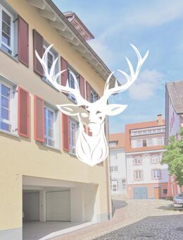 Moderne 3 Zimmer Wohnung im Herzen von Tiengen zu vermieten - Waldshut-Tiengen