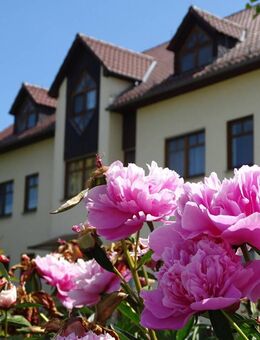 Exklusives Architektenhaus - Perfektion aus Wohnträumen und Arbeiten unter einem Dach - Bischofswerda