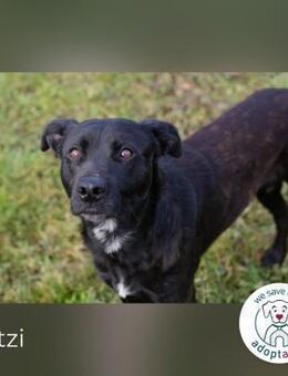 Fritzi: sucht dich! - Kirchzell