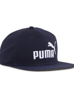 PUMA Flex Cap ESS No. 1 Logo Cap mit flachem Schirm Erwachsene