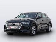 Audi e-tron 55 Q LED NAVI GRA VIRTUAL - Gelsenkirchen