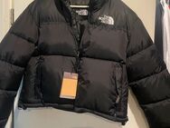 North Face Jacke - Erftstadt Zentrum