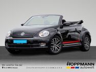 VW Beetle, 1.4 TSI Cabriolet Allstar PDV, Jahr 2016 - Haiger