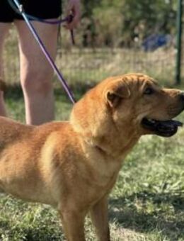 Cain möchte entdeckt werden - Nordwalde