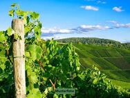 Einfamilienhaus/ehem. Weingut - Traben-Trarbach