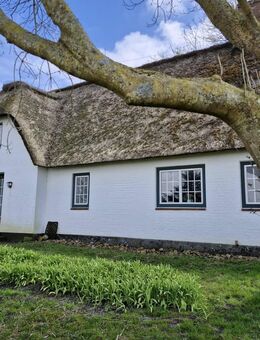 Schönes Haus unter Reet in der Nähe der dänischen Grenze - Neukirchen (Landkreis Nordfriesland)