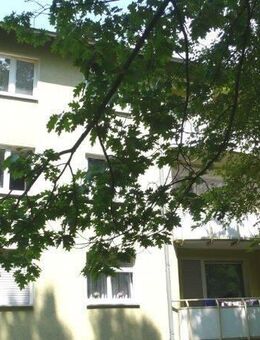Helle 3,5-Zimmer-Wohnung mit Balkon in Hanau Großauheim - Hanau (Brüder-Grimm-Stadt)
