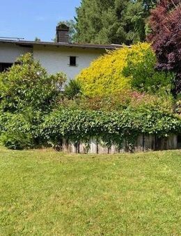 Ein Juwel für Naturliebhaber im malerischen Luftkurort Biedenkopf. - Biedenkopf