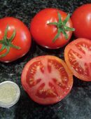 Tiny Tim - Zwergtomate in 70569