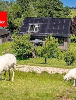 Traumhafte Deichlage in unmittelbarer Elbstrandnähe !!! - Kollmar