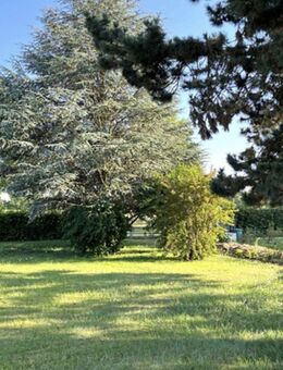 EFH / Bungalow mit Potential großes Grundstück mit Gartenparadies in Toplage - Dillingen (Donau)