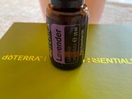 Doterra, Lavendel, NEU, Original verpackt - Haibach (Regierungsbezirk Unterfranken)