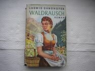 Waldrausch,Ludwig Ganghofer,Droemer Knaur Verlag - Linnich