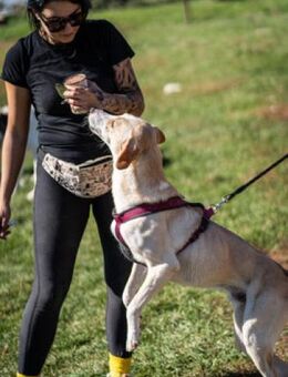 Smiley - träume von Familie+Hundekumpel - Berlin