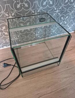 Terrarium 30x30x30 Fallscheibe mit Heizmatte - Essen
