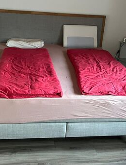 Boxspringbett Hasena - Bonaduz