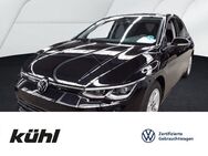 VW Golf, 1.5 TSI 8 VIII Life, Jahr 2023 - Gifhorn