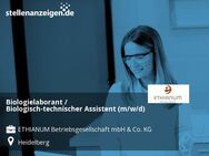 Biologielaborant / Biologisch-technischer Assistent (m/w/d) - Heidelberg