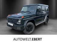 Mercedes G 350, d Professional Stahlstosstang, Jahr 2017 - Weinheim