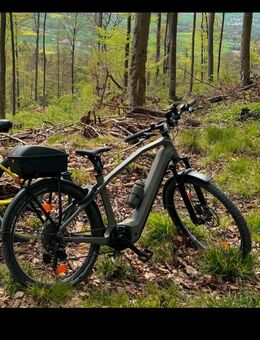 Kalkhoff Entice 7b Advanced diamant Größe S - Adelebsen