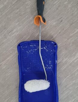 Wer hat Lust mir Gesellschaft zu leisten? - Braunschweig