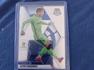Topps Karten - Brandenburg (Havel)
