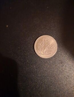 Münze türkische Lira - Essen
