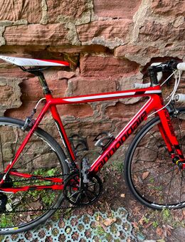 Cannondale Supersix Evo Ultegra Rennrad - Heidelberg