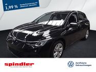 VW Golf, 2.0 TDI VIII Life, Jahr 2024 - Kitzingen