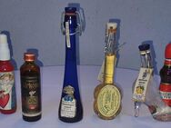 Miniatur Schnaps Flaschen Sammlung - Filderstadt