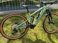 E Bike ! Focus Thron wie neu ♥️ - Malberg (Landkreis Altenkirchen (Westerwald))