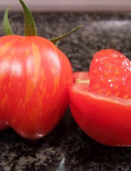Erdbeer Tomate - Stabtomate - Stuttgart