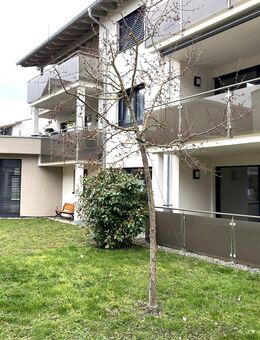 Ruhig gelegene und helle 2,5-Zi.-EG-Wohnung mit Balkon in Jestetten - Jestetten