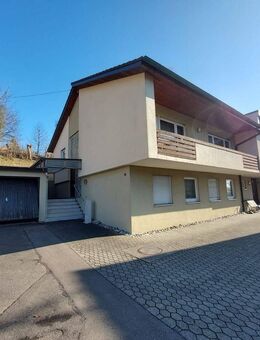 renovierungsbedürftige Doppelhaushälfte in Erbach – ruhige Lage - - Erbach (Baden-Württemberg)