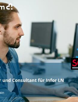 Entwickler und Consultant für Infor LN (m/w/d) - Lohr (Main)